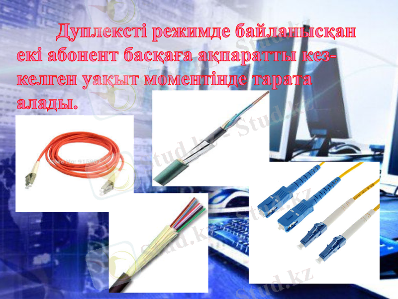 Slide 11