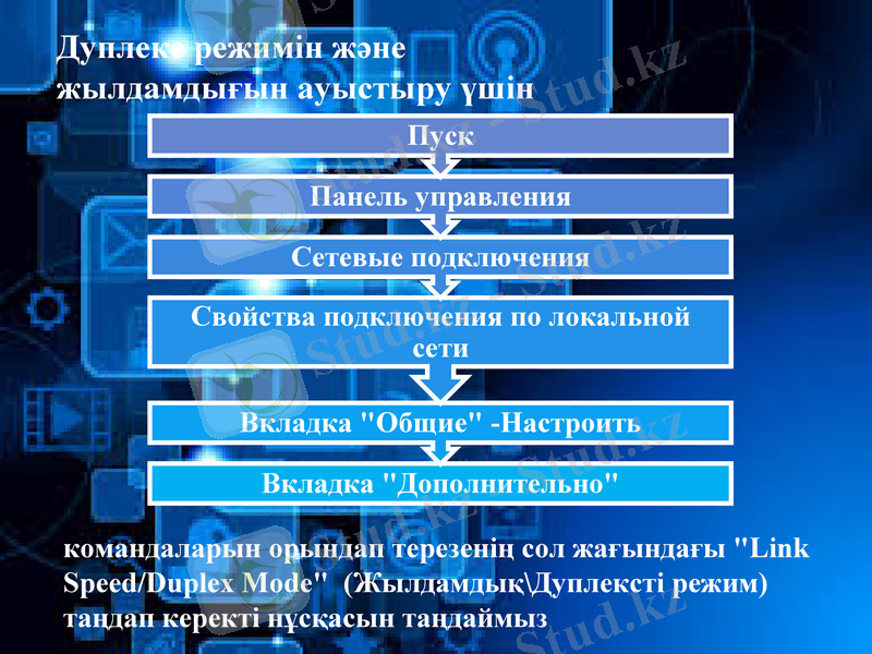 Slide 12