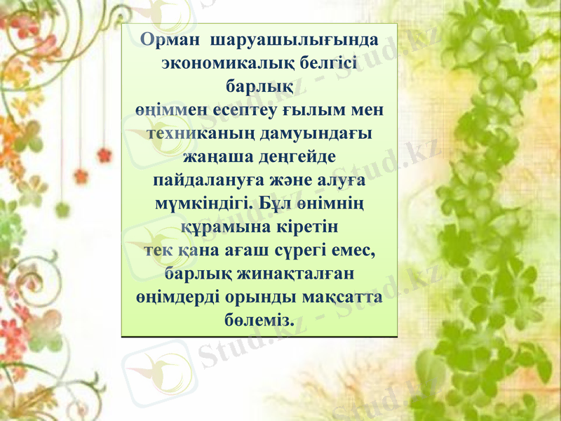Slide 6