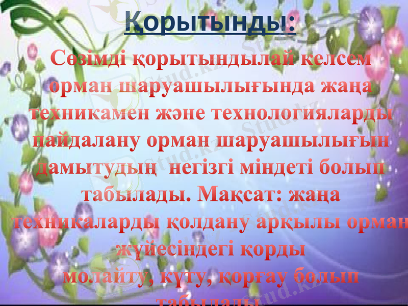 Slide 7