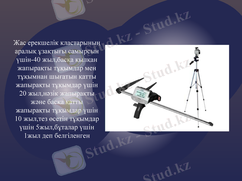 Slide 6