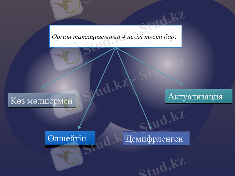 Slide 8