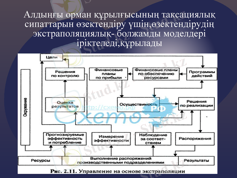 Slide 9