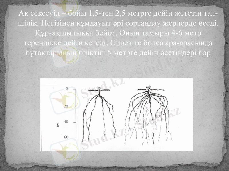 Slide 6