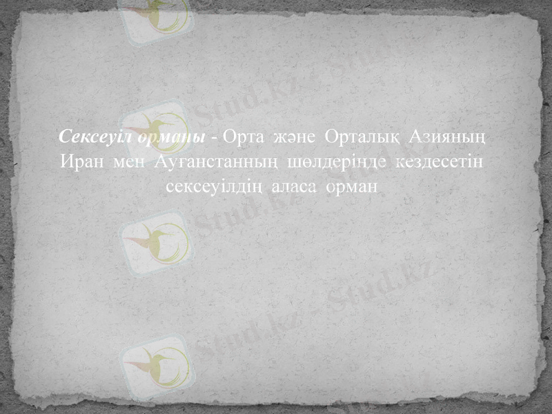 Slide 8