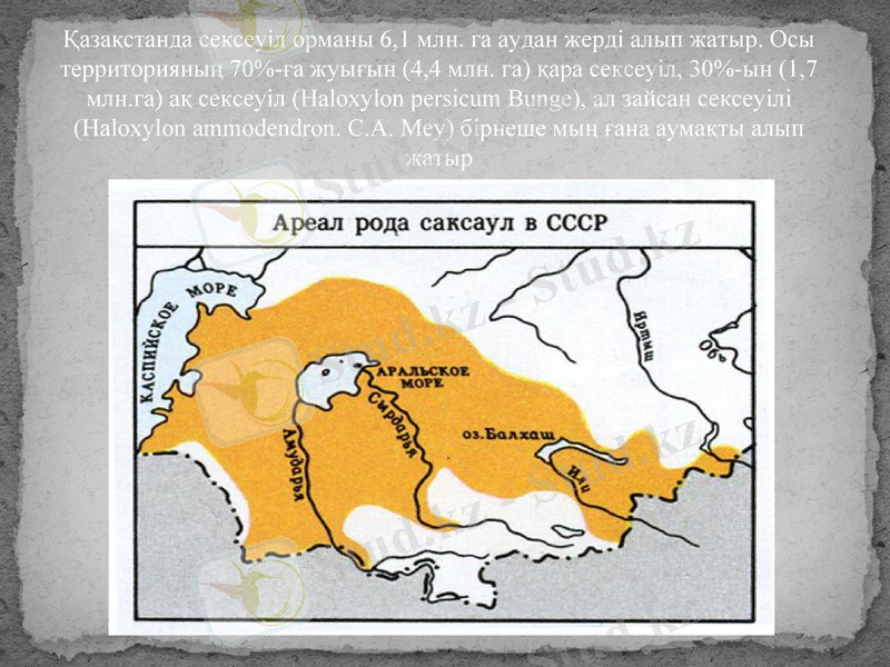 Slide 9