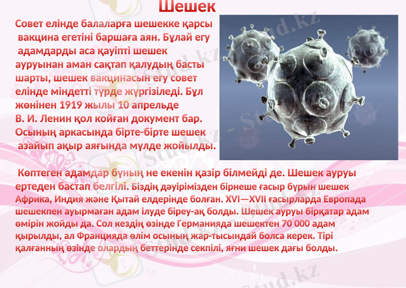 Slide 11