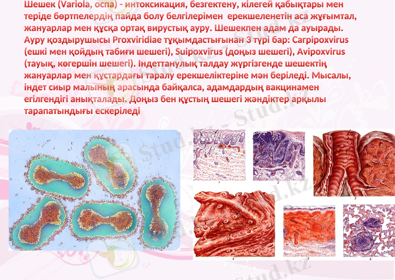Slide 12