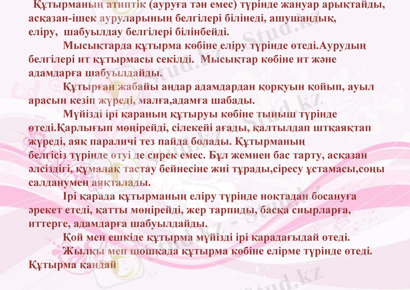 Slide 9