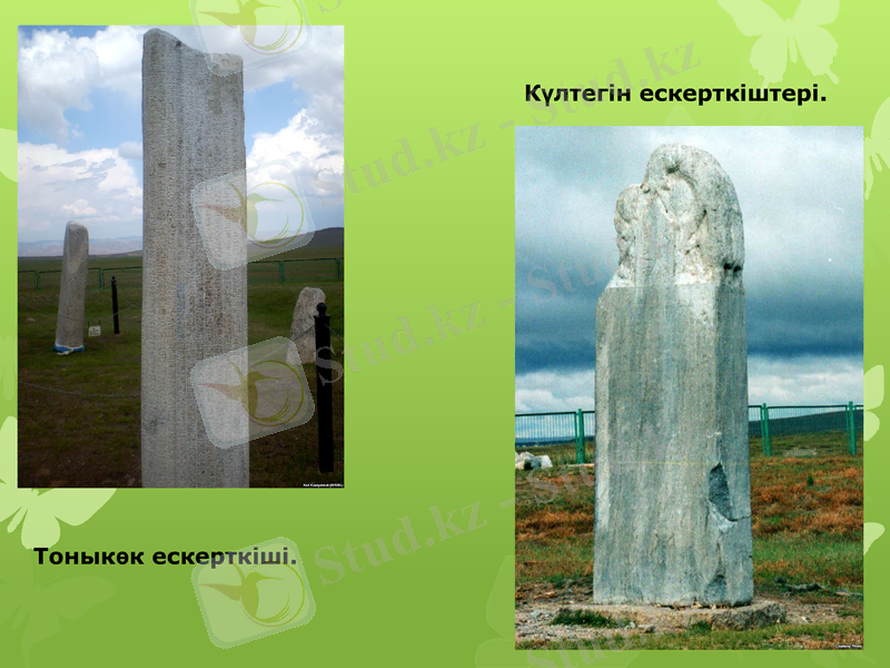 Slide 10