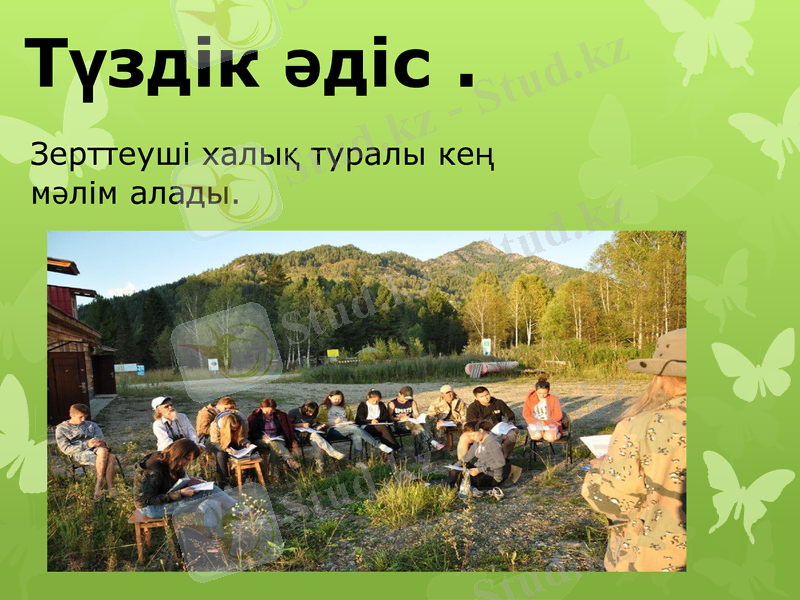 Slide 13