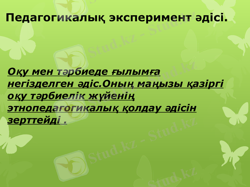Slide 19