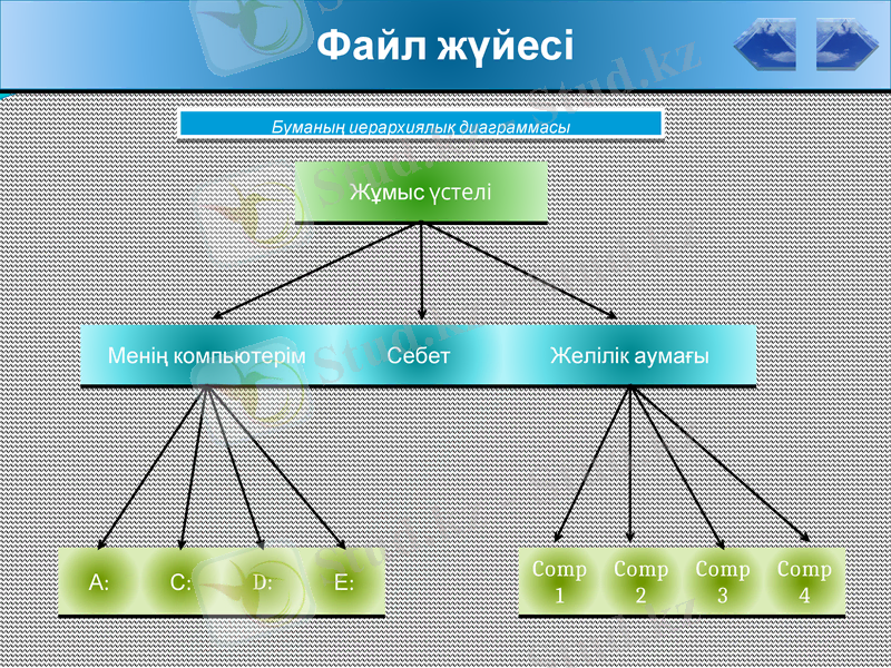 Slide 11