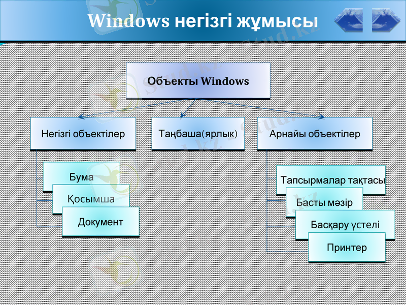 Slide 8