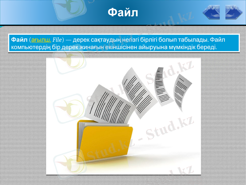 Slide 9