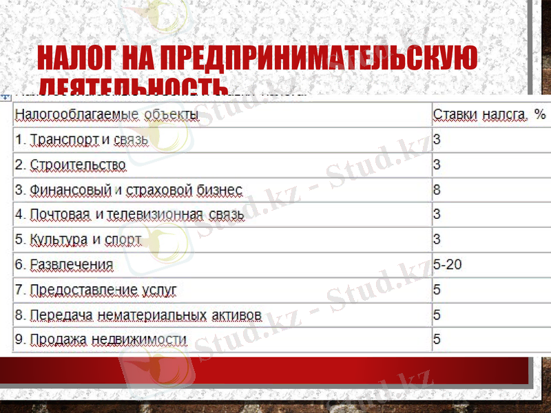 Slide 8