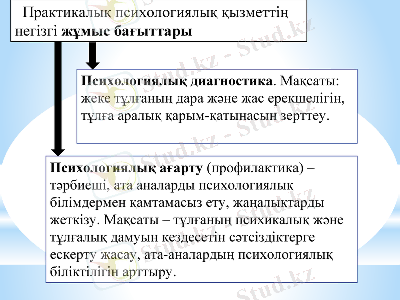 Slide 8