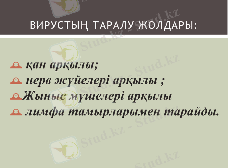 Slide 10
