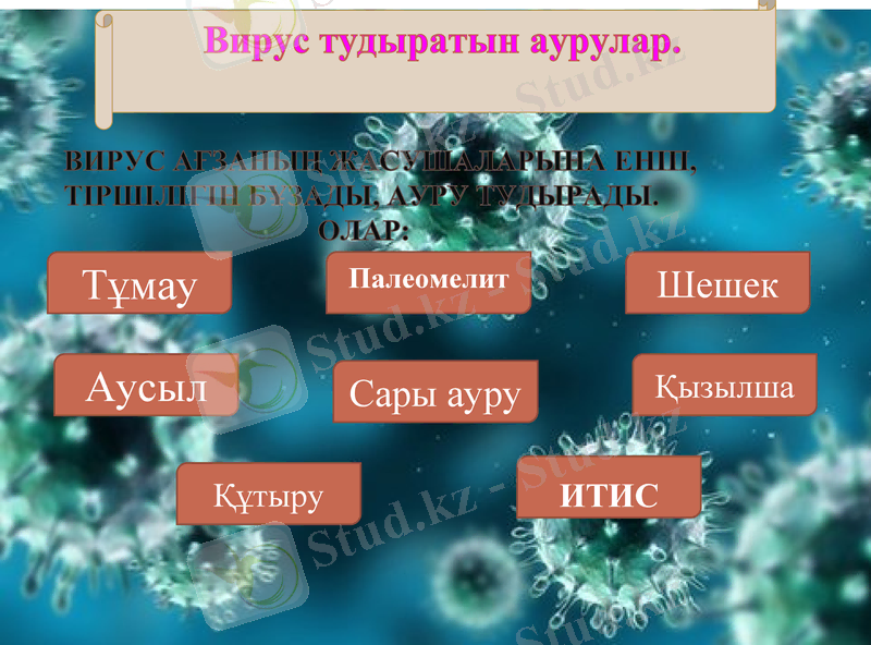 Slide 12
