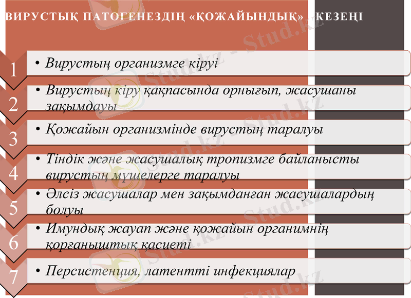 Slide 13