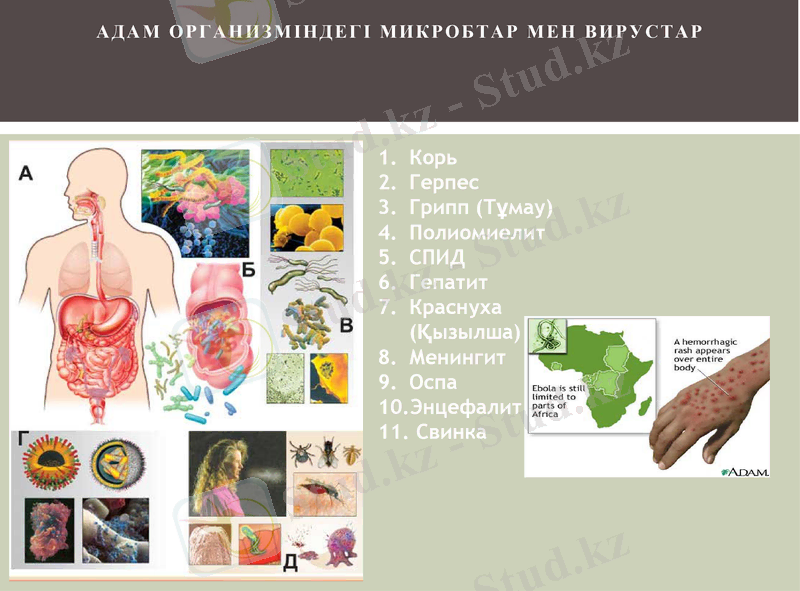 Slide 15