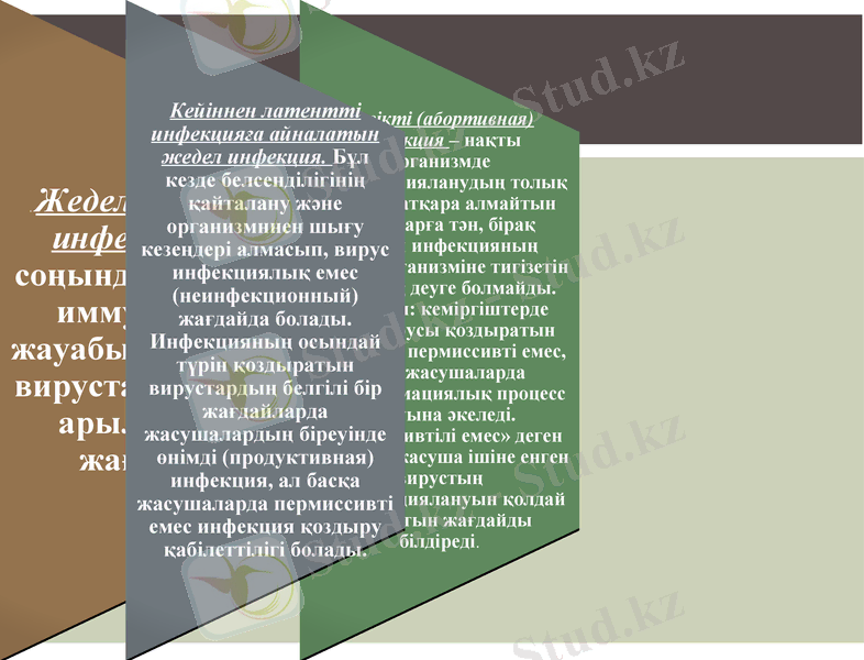 Slide 17