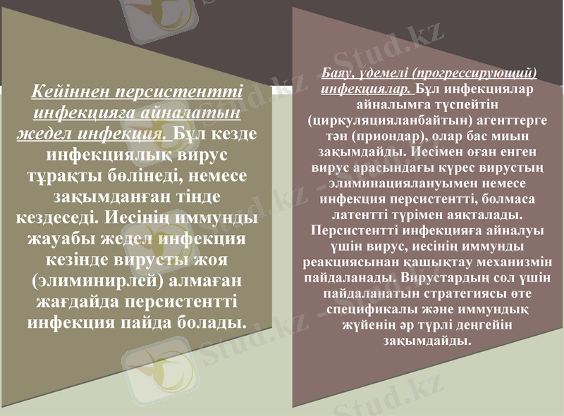Slide 18