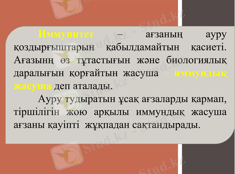 Slide 19