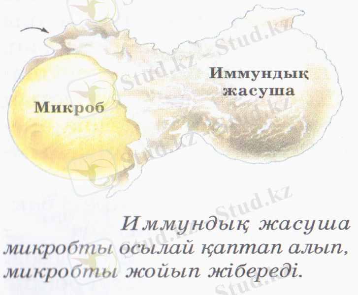 Slide 20
