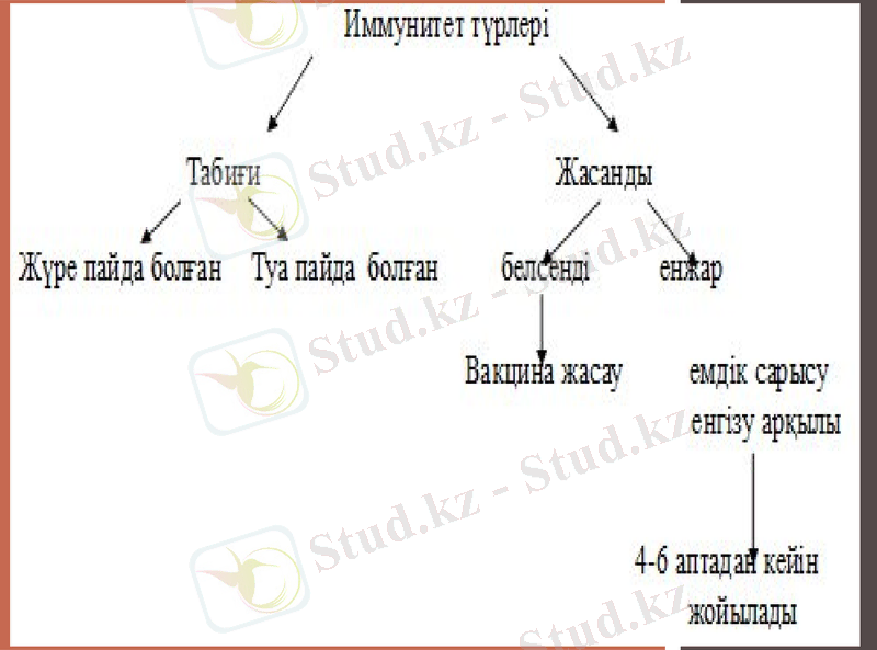 Slide 21
