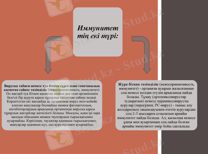 Slide 22