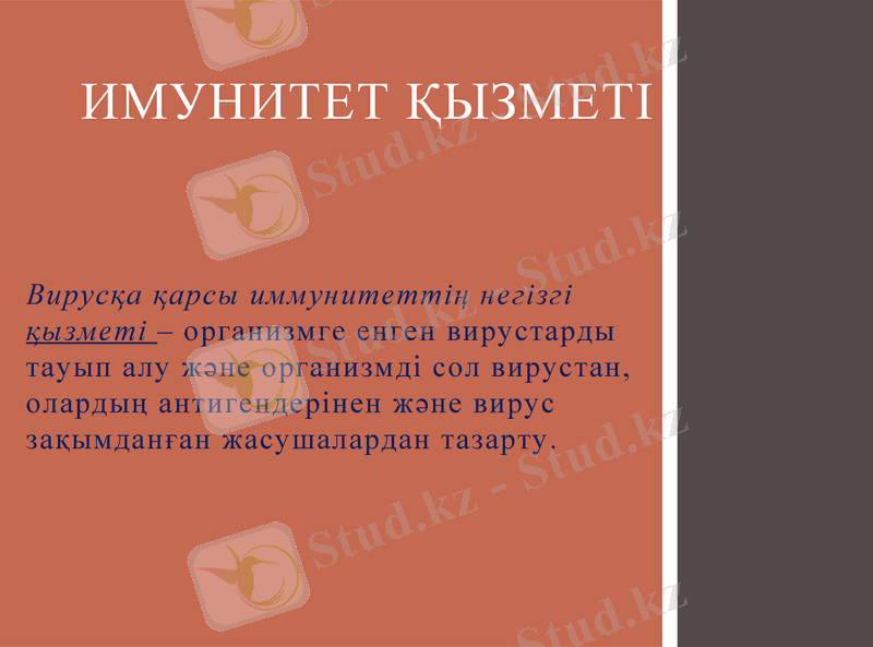 Slide 23