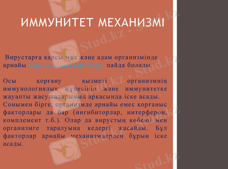 Slide 24