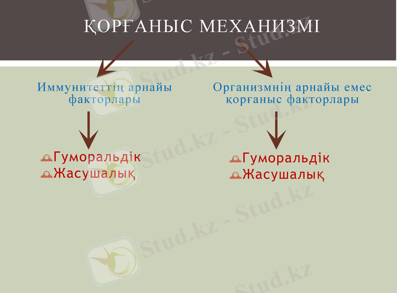 Slide 25