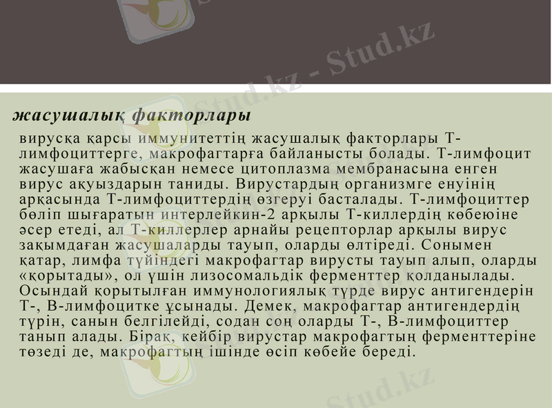Slide 27