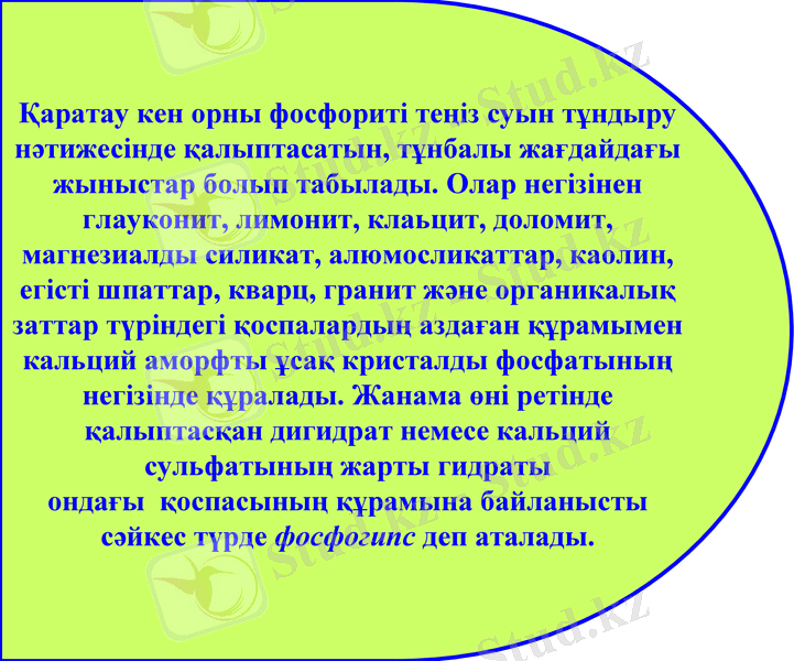 Slide 11
