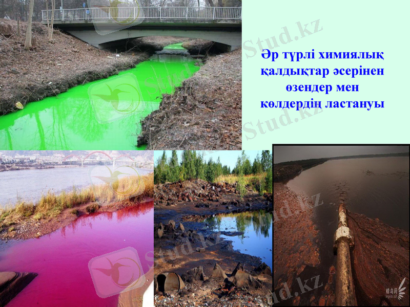 Slide 5