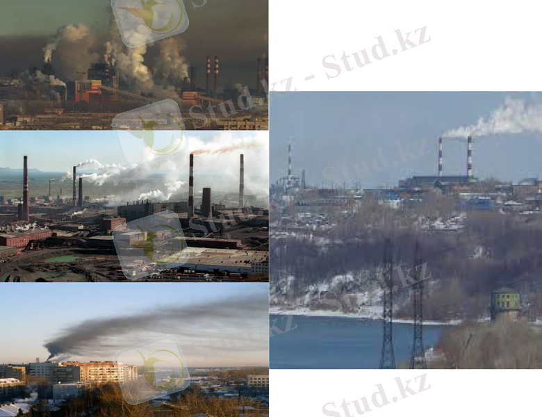 Slide 8
