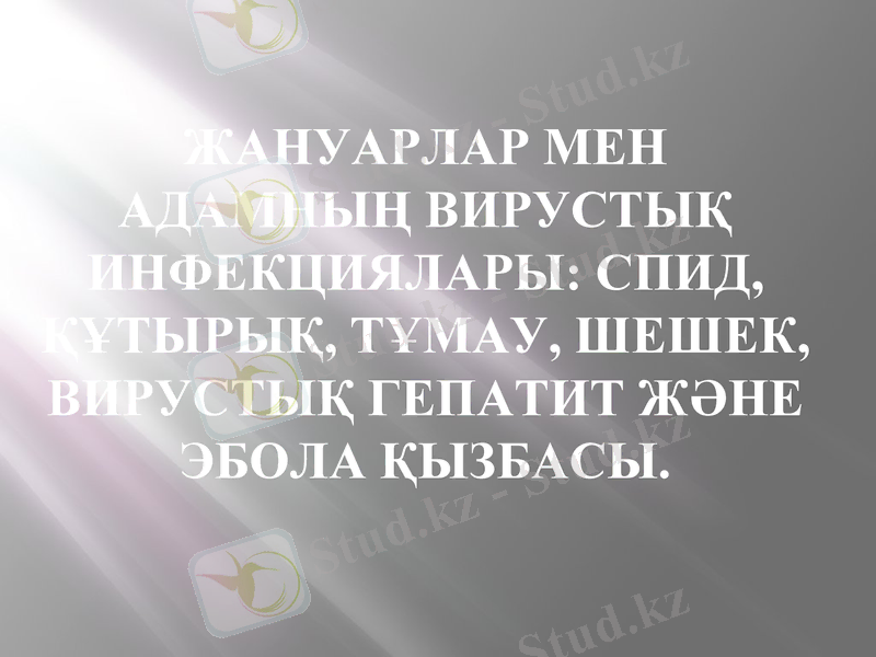 Slide 1