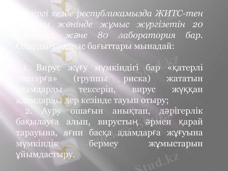 Slide 12