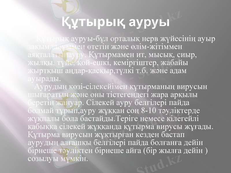 Slide 14