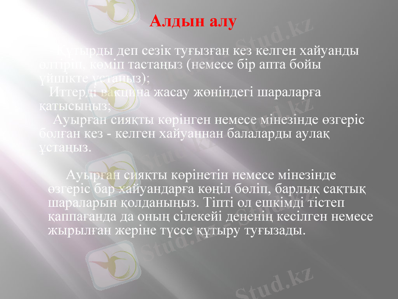 Slide 16