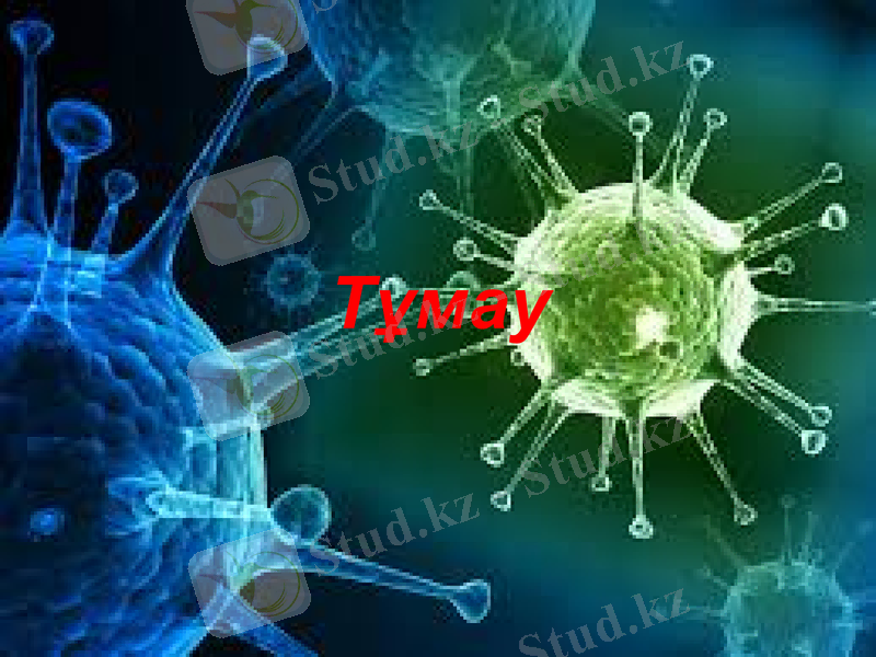 Slide 17