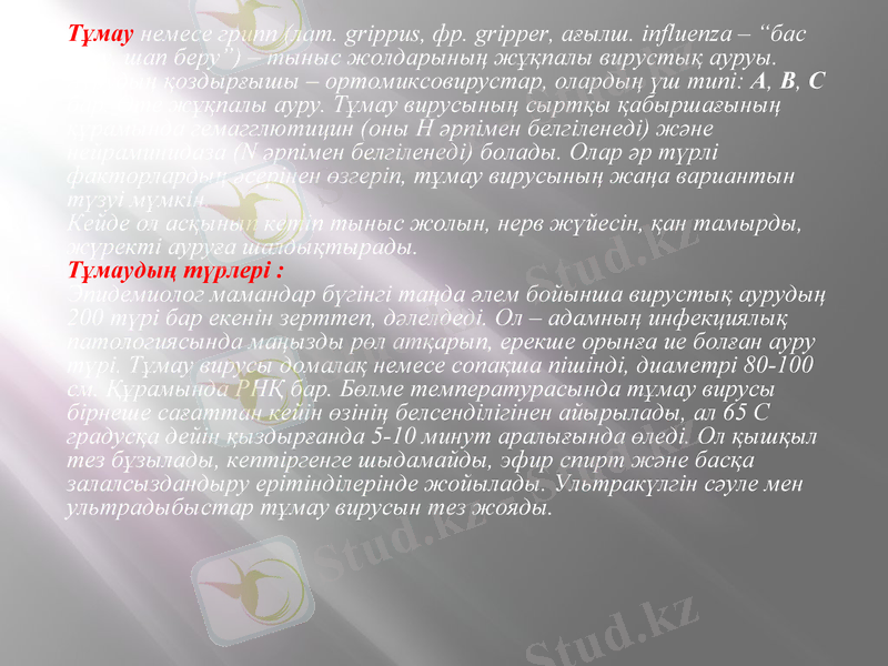 Slide 18