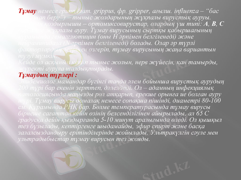 Slide 20
