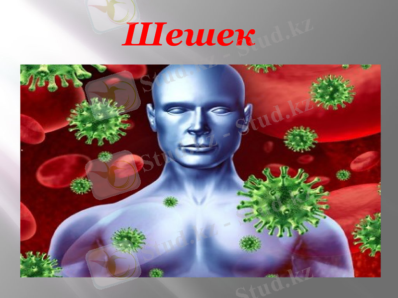 Slide 22
