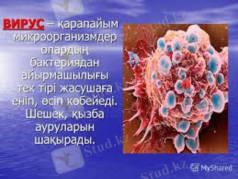 Slide 23