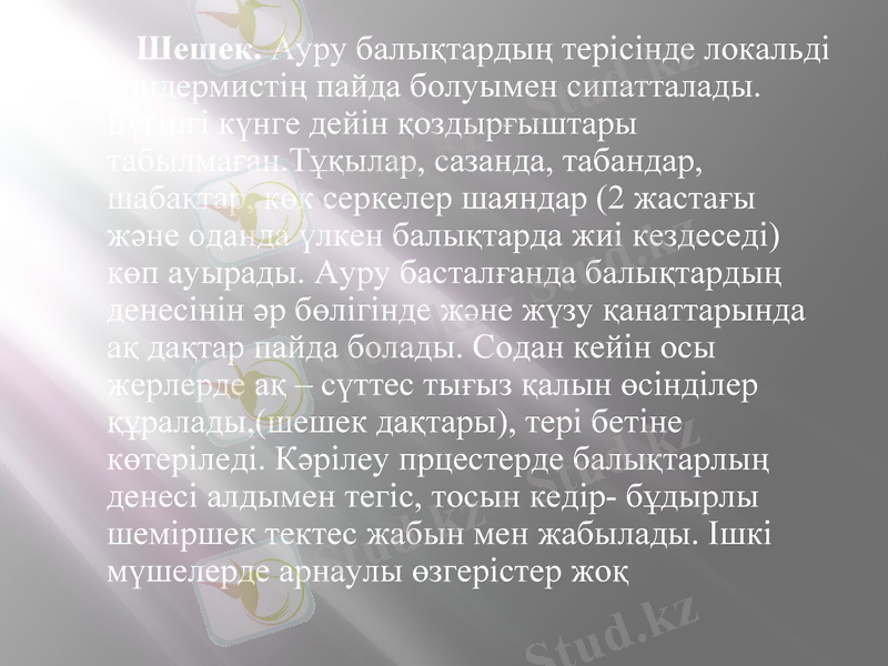 Slide 24