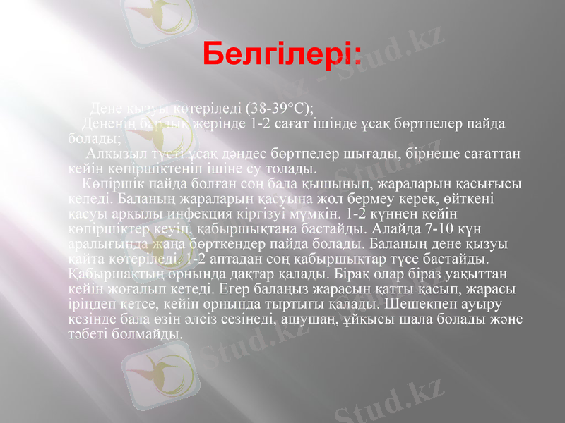 Slide 26