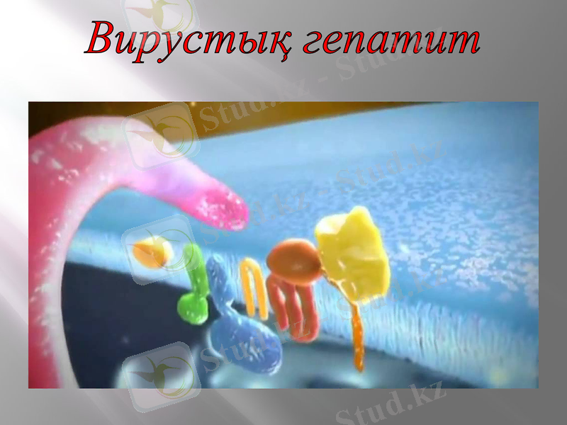 Slide 28